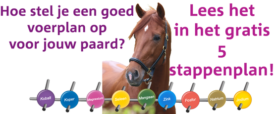 Wat is het beste voer voor jouw paard?