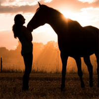 Mijn paard is een binnenvetter Mijn paard is een binnenvetter