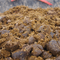 Koliek kans paard verkleinen Koliek kans paard verkleinen