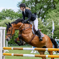 Verzuring springpaard Verzuring springpaard