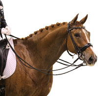 Souplesse dressuurpaard verbeteren Souplesse dressuurpaard verbeteren