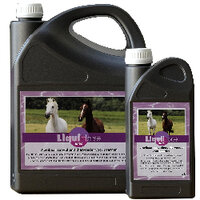 Mineralen en vitaminen voor paarden Mineralen en vitaminen voor paarden