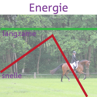Voorstel houten Logisch Snelle en langzame energie voor jouw paard - LiquiHorse