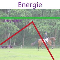 Snelle en langzame energie voor jouw paard Snelle en langzame energie voor jouw paard